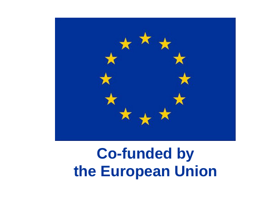 Co-funded by the European Union